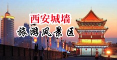 无毛少妇艹逼中国陕西-西安城墙旅游风景区